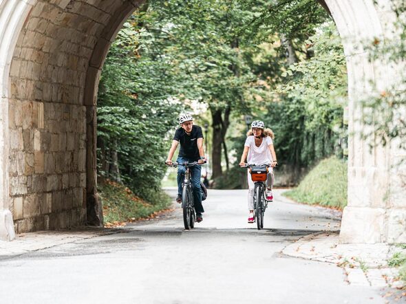 Mit dem Fahrrad durch die Allee
